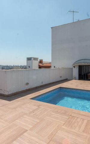 Apartamento à venda com 460m², 5 quartos e 5 vagas Apartamento à venda com 460m², 5 quartos e 5 vagasPiscina