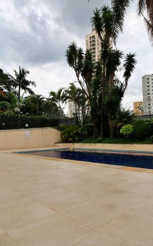 Apartamento para alugar com 65m², 1 quarto e 1 vagaÁrea comum - Piscina