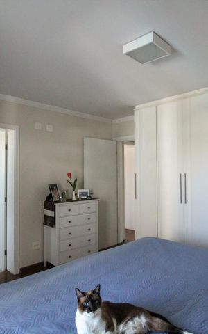 Apartamento à venda com 175m², 4 quartos e 4 vagasQuarto 4 - Suíte