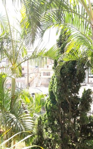 Apartamento à venda com 175m², 4 quartos e 4 vagasVista Quarto 2