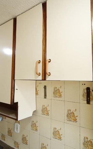 Apartamento para alugar com 60m², 2 quartos e sem vagaCozinha - Armários