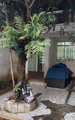 Casa à venda com 240m², 5 quartos e 3 vagasQuintal e Piscina
