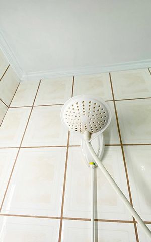 Apartamento à venda com 58m², 2 quartos e sem vagaChuveiro do Banheiro