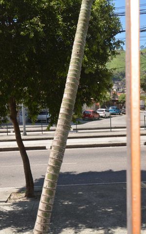 Apartamento para alugar com 60m², 2 quartos e 1 vagaVista da Área comum