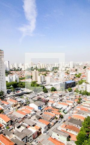 Apartamento à venda com 78m², 3 quartos e 1 vagavista cozinha