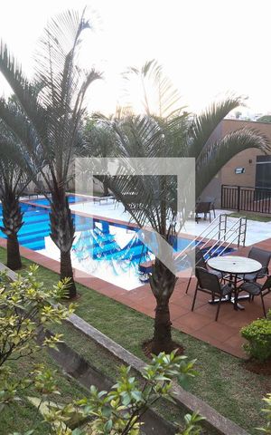 Apartamento à venda com 45m², 2 quartos e 1 vagaÁrea comum - Piscina