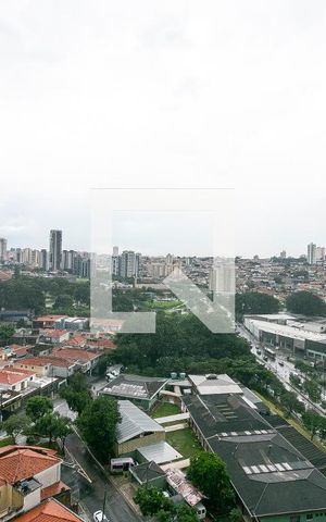 Apartamento para alugar com 206m², 4 quartos e 4 vagasVaranda - Vista