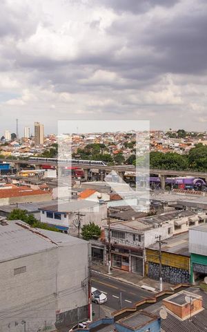 Apartamento para alugar com 49m², 1 quarto e sem vagaVista