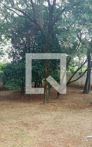 Apartamento à venda com 45m², 2 quartos e 1 vagaÁrea comum
