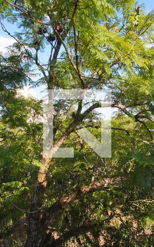 Apartamento à venda com 59m², 2 quartos e 1 vagaVista do Quarto 2