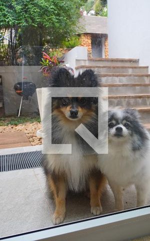 Casa à venda com 352m², 3 quartos e 4 vagasIrmãos do Dono da Casa