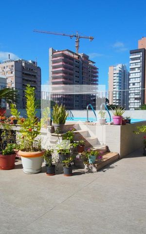 Apartamento à venda com 270m², 3 quartos e 2 vagasTerraço