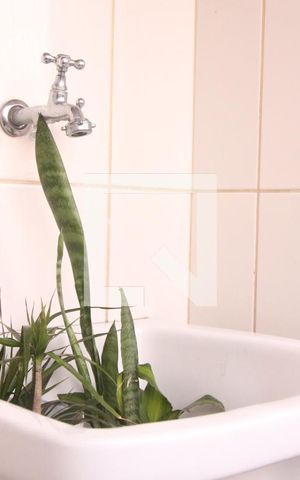 Apartamento à venda com 51m², 2 quartos e 1 vagaÁrea de Serviço