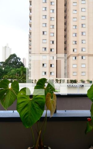 Apartamento à venda com 126m², 3 quartos e 2 vagasSacada