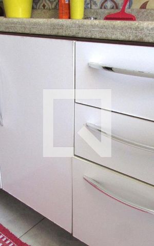 Apartamento para alugar com 50m², 2 quartos e 1 vagaCozinha - Armários
