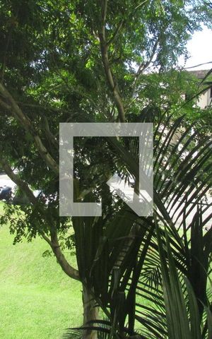 Apartamento para alugar com 50m², 2 quartos e 1 vagaVista do Quarto 1