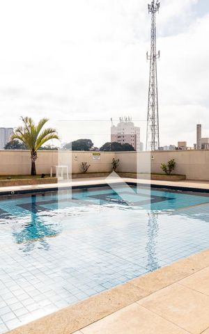 Apartamento para alugar com 55m², 2 quartos e 1 vaga Apartamento para alugar com 55m², 2 quartos e 1 vagaÁrea comum - Piscina