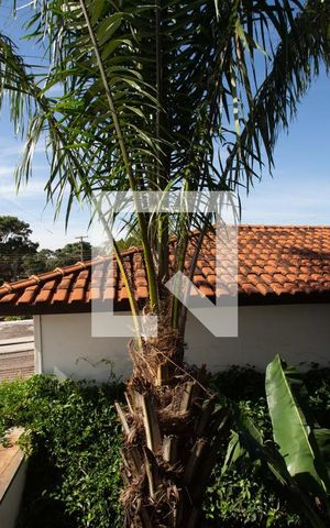 Casa para alugar com 365m², 3 quartos e 4 vagas Casa para alugar com 365m², 3 quartos e 4 vagasVista da janela do quarto 2