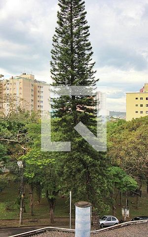Apartamento à venda com 80m², 3 quartos e 1 vagaVista do Quarto 3