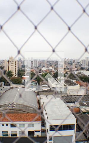 Apartamento para alugar com 57m², 2 quartos e 1 vaga Apartamento para alugar com 57m², 2 quartos e 1 vagaVista do Quarto 1