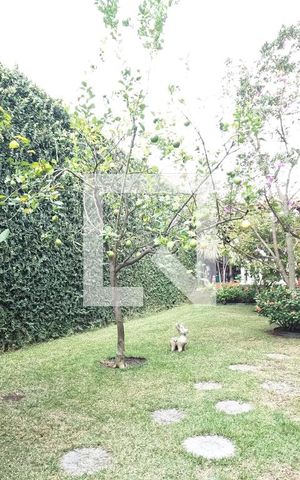 Casa à venda com 404m², 5 quartos e 4 vagasQuintal
