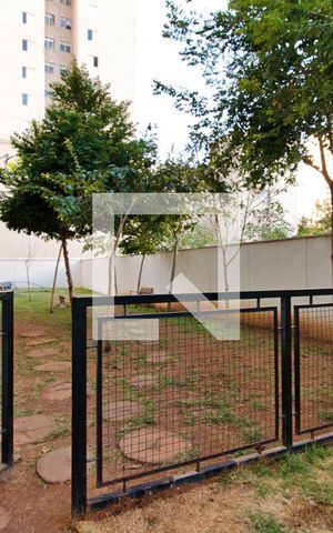 Apartamento para alugar com 54m², 2 quartos e 1 vaga Apartamento para alugar com 54m², 2 quartos e 1 vagaEspaço Pet