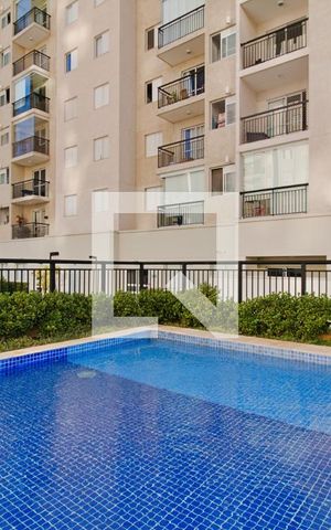 Apartamento para alugar com 54m², 2 quartos e 1 vaga Apartamento para alugar com 54m², 2 quartos e 1 vagaÁrea comum - Piscina