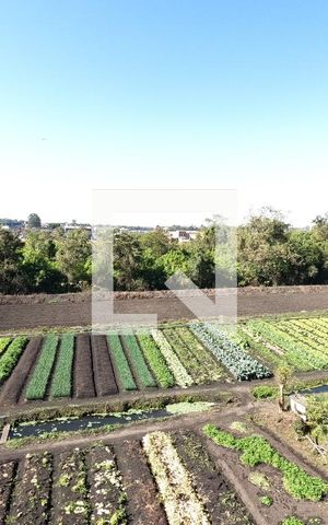 Apartamento para alugar com 39m², 2 quartos e 1 vagaVista do Quarto 2