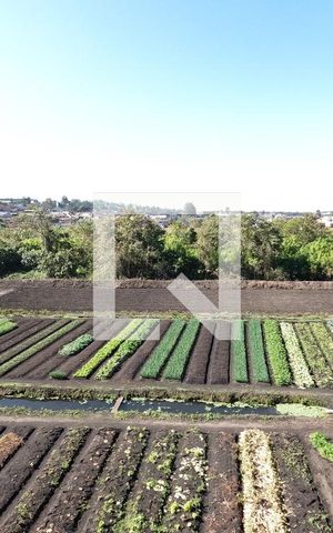 Apartamento para alugar com 39m², 2 quartos e 1 vagaVista da Sala