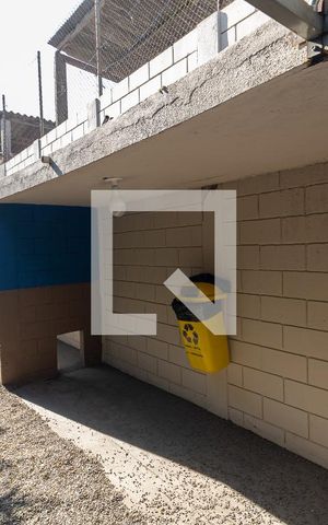 Apartamento para alugar com 65m², 3 quartos e 1 vaga Apartamento para alugar com 65m², 3 quartos e 1 vagaEspaço Pet