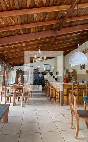 Casa à venda com 600m², 6 quartos e 10 vagasEspaço Gourmet