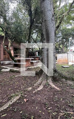Apartamento para alugar com 62m², 2 quartos e 1 vagaEspaço Gourmet