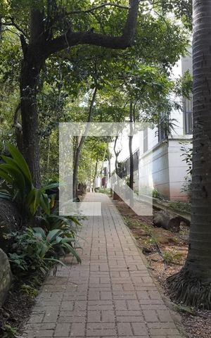 Apartamento para alugar com 81m², 3 quartos e 1 vagaBosque