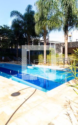 Apartamento para alugar com 60m², 3 quartos e 1 vaga Apartamento para alugar com 60m², 3 quartos e 1 vagaPiscina