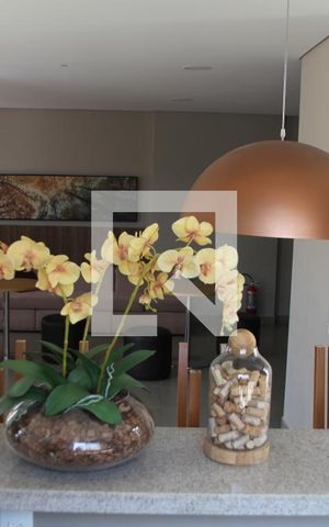 Apartamento à venda com 65m², 3 quartos e 1 vagaÁrea comum - Salão de festas