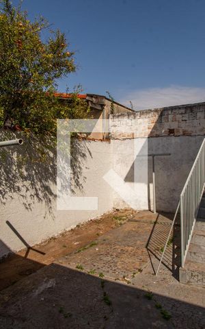 Casa para alugar com 290m², 3 quartos e 2 vagasQuintal