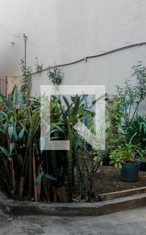 Casa para alugar com 73m², 1 quarto e sem vaga Casa para alugar com 73m², 1 quarto e sem vagaJardim