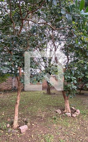 Casa à venda com 430m², 5 quartos e 5 vagasÁrea Externa
