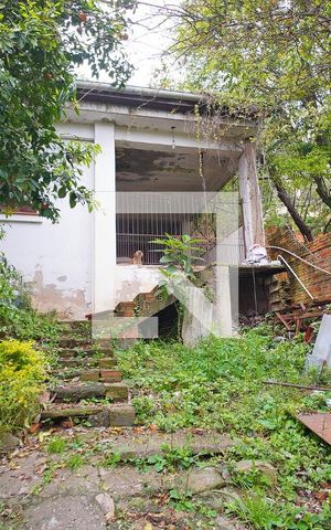 Casa à venda com 224m², 3 quartos e 3 vagasQuintal 