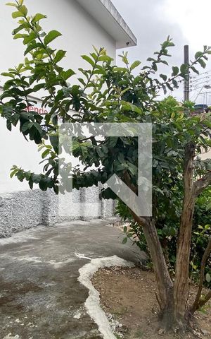Casa para alugar com 220m², 4 quartos e 2 vagasQuintal