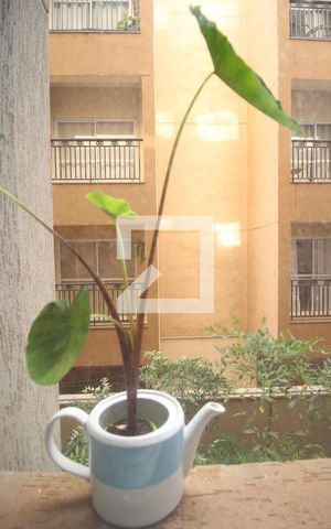 Apartamento para alugar com 104m², 3 quartos e 2 vagasvista da Cozinha