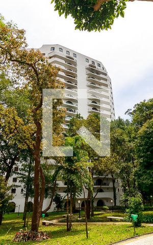 Apartamento à venda com 207m², 4 quartos e 2 vagas Apartamento à venda com 207m², 4 quartos e 2 vagasBosque