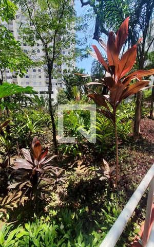 Apartamento à venda com 56m², 1 quarto e 1 vaga Apartamento à venda com 56m², 1 quarto e 1 vagaÁrea comum