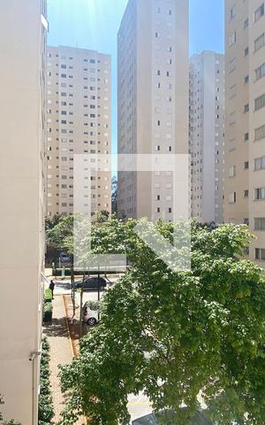 Apartamento para alugar com 51m², 2 quartos e 1 vagaVista do Quarto 1
