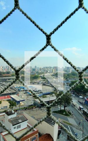 Apartamento para alugar com 163m², 3 quartos e 4 vagasVista