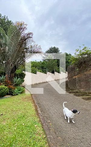 Casa à venda com 264m², 3 quartos e 3 vagasÁrea Externa