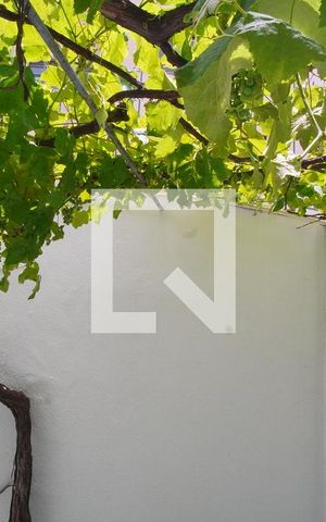 Casa à venda com 482m², 7 quartos e 7 vagasSala_Vista