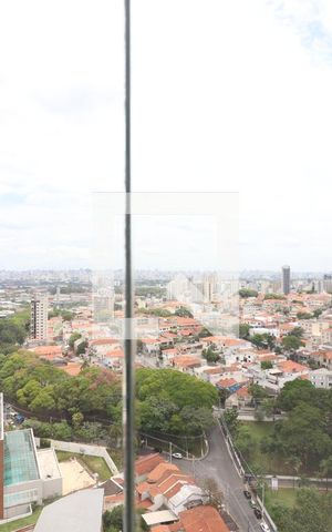 Apartamento para alugar com 50m², 1 quarto e 2 vagasVista Cozinha 