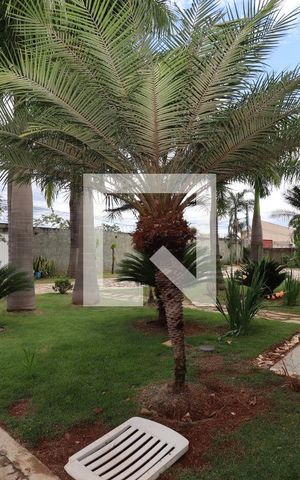 Casa para alugar com 1750m², 6 quartos e 6 vagasQuintal