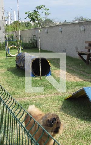 Apartamento para alugar com 70m², 2 quartos e sem vagaEspaço Pet